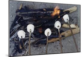 Cooking Marshmallows over Campfire-William P. Gottlieb-Mounted Photographic Print