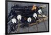 Cooking Marshmallows over Campfire-William P. Gottlieb-Framed Photographic Print