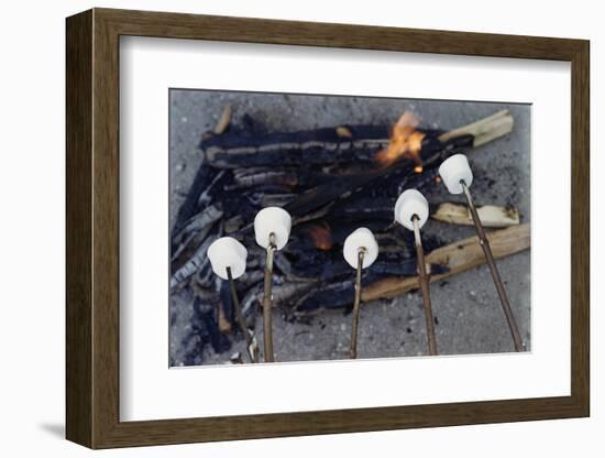 Cooking Marshmallows over Campfire-William P. Gottlieb-Framed Photographic Print