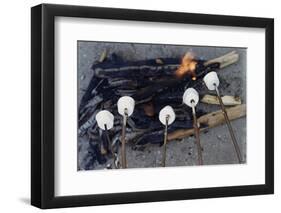 Cooking Marshmallows over Campfire-William P. Gottlieb-Framed Photographic Print