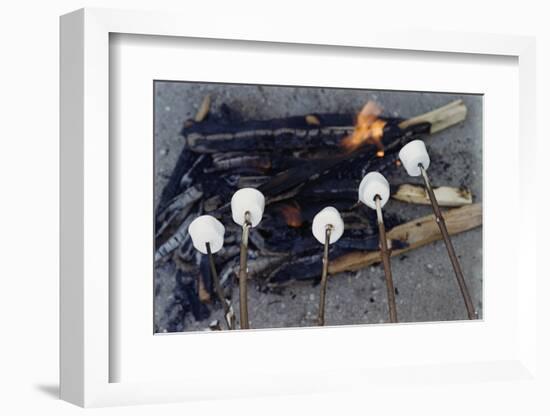 Cooking Marshmallows over Campfire-William P. Gottlieb-Framed Photographic Print