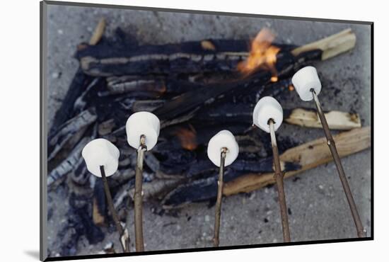 Cooking Marshmallows over Campfire-William P. Gottlieb-Mounted Photographic Print