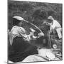 Cooking on the Fire, Early 20th Century-null-Mounted Photographic Print