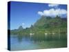 Cooks Bay, Moorea Island, Tahiti, French Polynesia-Steve Vidler-Stretched Canvas