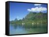 Cooks Bay, Moorea Island, Tahiti, French Polynesia-Steve Vidler-Framed Stretched Canvas