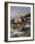 Cool Autumn-Trevor V. Swanson-Framed Giclee Print