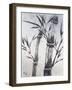 Cool Bamboo II-Katsumi Sugita-Framed Giclee Print