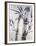 Cool Bamboo II-Katsumi Sugita-Framed Giclee Print