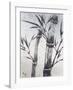 Cool Bamboo II-Katsumi Sugita-Framed Giclee Print