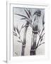 Cool Bamboo II-Katsumi Sugita-Framed Giclee Print