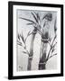 Cool Bamboo II-Katsumi Sugita-Framed Giclee Print