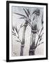 Cool Bamboo II-Katsumi Sugita-Framed Giclee Print