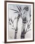 Cool Bamboo II-Katsumi Sugita-Framed Giclee Print