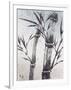 Cool Bamboo II-Katsumi Sugita-Framed Giclee Print