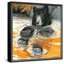 Cool Bear-Charles Bull-Framed Stretched Canvas