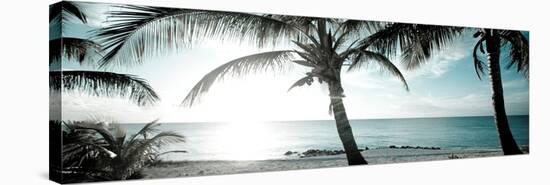 Cool Bimini I-Susan Bryant-Stretched Canvas