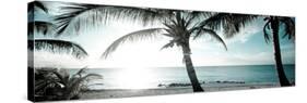 Cool Bimini I-Susan Bryant-Stretched Canvas