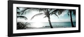 Cool Bimini I-Susan Bryant-Framed Photographic Print