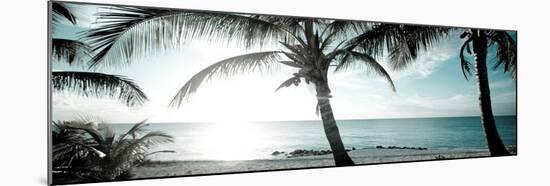 Cool Bimini I-Susan Bryant-Mounted Photographic Print