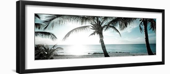 Cool Bimini I-Susan Bryant-Framed Photographic Print