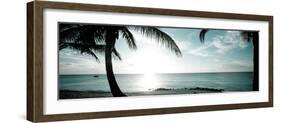 Cool Bimini II-Susan Bryant-Framed Photographic Print