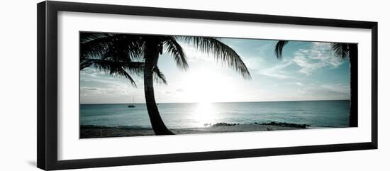 Cool Bimini II-Susan Bryant-Framed Photographic Print