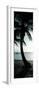 Cool Bimini Palm II-Susan Bryant-Framed Photographic Print