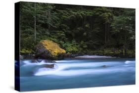 Cool Blue Waters Of North Fork Of Nooksack River Along Horseshoe Bend Trail In Glacier Washington-Jay Goodrich-Stretched Canvas