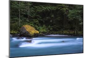 Cool Blue Waters Of North Fork Of Nooksack River Along Horseshoe Bend Trail In Glacier Washington-Jay Goodrich-Mounted Photographic Print