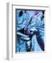 Cool Blue-Ruth Palmer-Framed Art Print