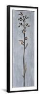Cool Botanicals III-Liz Jardine-Framed Premium Giclee Print