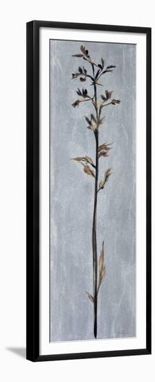 Cool Botanicals III-Liz Jardine-Framed Premium Giclee Print