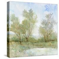 Cool Breeze I-Tim OToole-Stretched Canvas