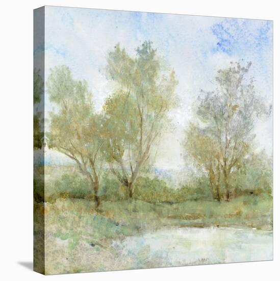 Cool Breeze I-Tim OToole-Stretched Canvas