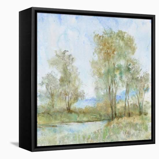 Cool Breeze II-Tim OToole-Framed Stretched Canvas