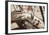Cool Cats-Gail Peck-Framed Photographic Print