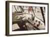 Cool Cats-Gail Peck-Framed Photographic Print