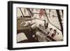 Cool Cats-Gail Peck-Framed Photographic Print