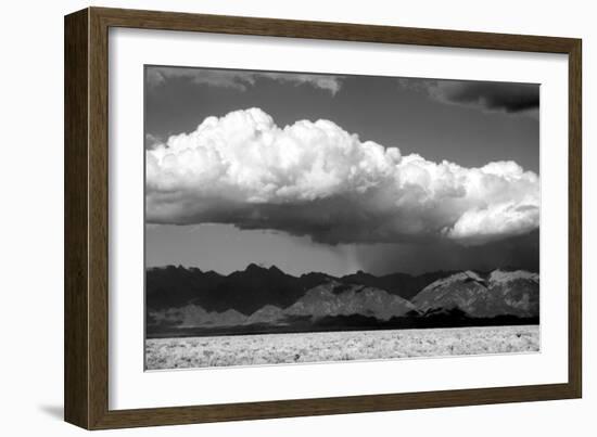 Cool Colorado Rain BW-Douglas Taylor-Framed Photographic Print