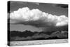 Cool Colorado Rain BW-Douglas Taylor-Stretched Canvas