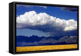 Cool Colorado Rain-Douglas Taylor-Framed Stretched Canvas