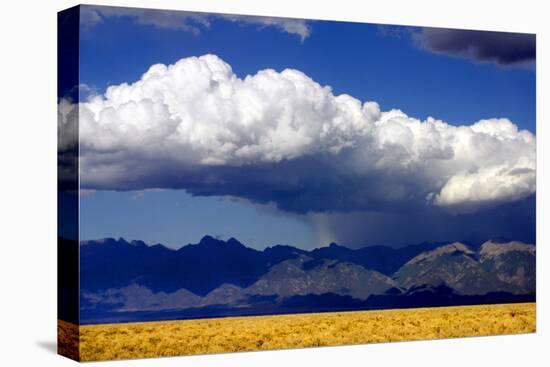 Cool Colorado Rain-Douglas Taylor-Stretched Canvas