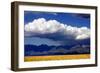 Cool Colorado Rain-Douglas Taylor-Framed Photographic Print