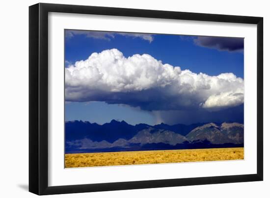 Cool Colorado Rain-Douglas Taylor-Framed Photographic Print