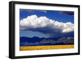 Cool Colorado Rain-Douglas Taylor-Framed Photographic Print