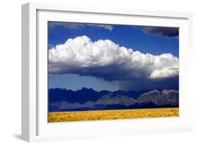 Cool Colorado Rain-Douglas Taylor-Framed Photographic Print