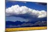 Cool Colorado Rain-Douglas Taylor-Mounted Photographic Print