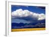 Cool Colorado Rain-Douglas Taylor-Framed Photographic Print