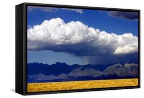 Cool Colorado Rain-Douglas Taylor-Framed Stretched Canvas