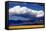 Cool Colorado Rain-Douglas Taylor-Framed Stretched Canvas